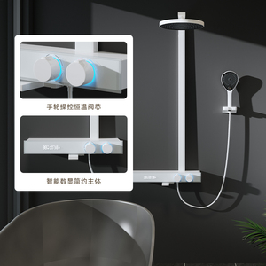 利姿白色枪灰色恒温增压淋浴花洒套装家用卫浴淋雨浴室全铜淋浴器