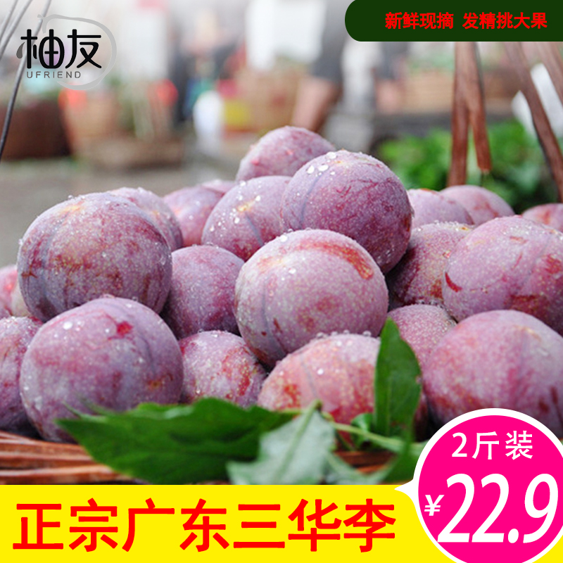 柚友 广东三华李新鲜现摘李子当季孕妇水果新鲜现摘三月李2斤钱排