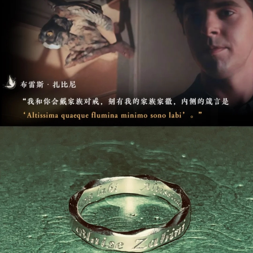 一千零三万橙光hp布雷斯扎比尼印象戒指精致时尚独特创意指环配饰