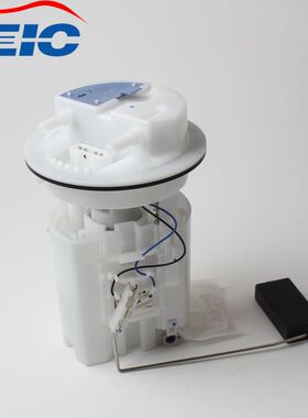 PW823172 A2C53061198  9631419180燃油泵总成适用于宝腾