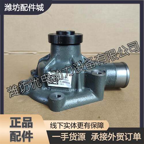冷却淡水泵1000054020潍坊道依茨226B潍柴WP6船舶用WP4柴油发动机