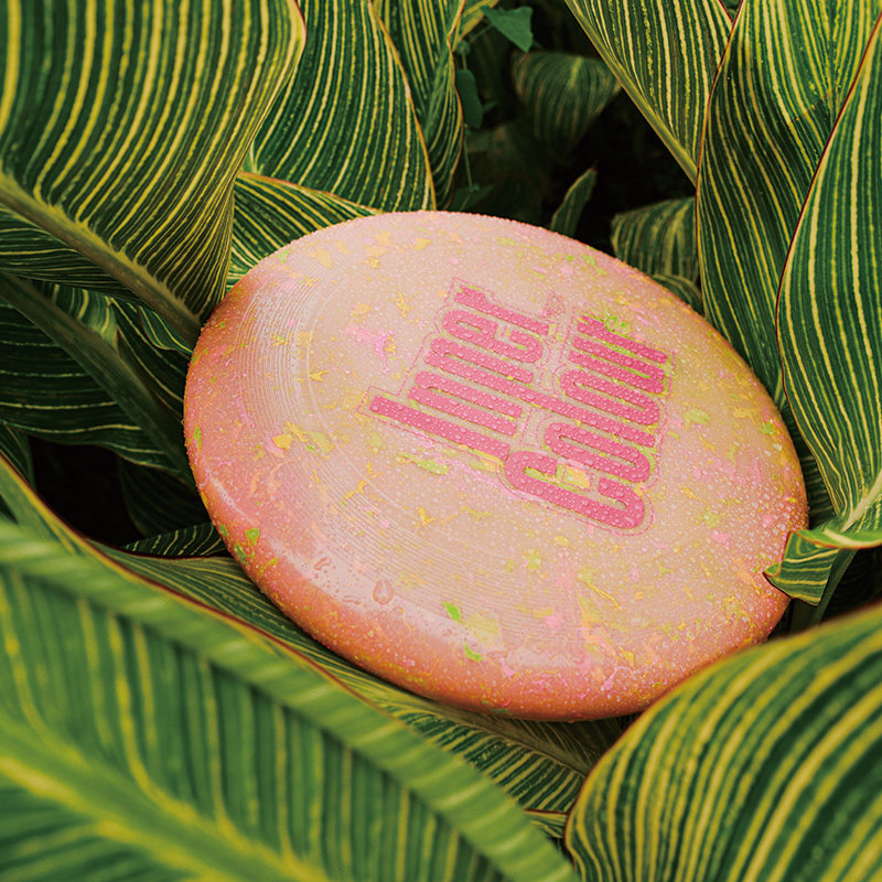 翼鲲飞盘极限飞盘InnerColour