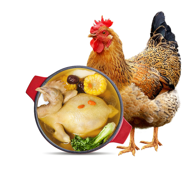 温氏老母鸡1kg散养土鸡