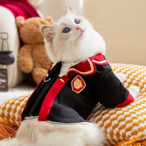 连衣裙制服衣服秋冬季猫咪棉衣