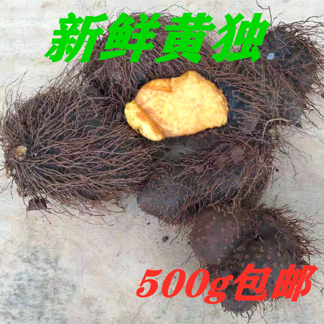 现挖新鲜黄独黄药子零余子金钱吊虾蟆香芋黄狗头雷公薯