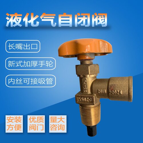 15公斤液化气钢瓶角阀 5kg瓶阀 煤气罐角阀 新型自闭角阀钢瓶阀门