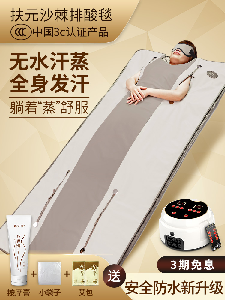扶元汗蒸家用排酸毯沙棘排毒汗蒸袋全身排湿排寒电动按摩机蒸桑拿