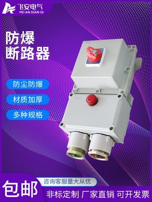 防爆断路器 2P/3P/4P20A32A63A漏电防爆开关控制箱 定制非标箱