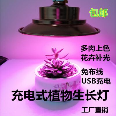 全光谱植物生长灯防太阳家用蔬菜花卉生长灯LED充电植物补光灯