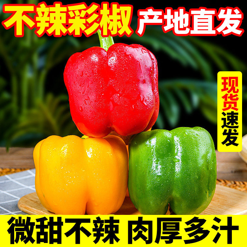 彩椒新鲜蔬菜灯笼椒青椒甜椒绿色圆椒彩色菜椒现摘大青椒农家种植在类目 水产肉类/新鲜蔬果/熟食, 新鲜蔬菜/蔬菜制品, 新鲜蔬菜, 辣椒中 - 来自Buy2taobao.com提供专业的淘宝代购服务