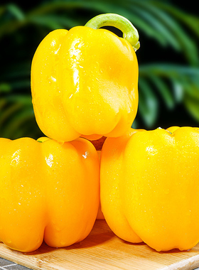 甜椒新鲜灯笼椒辣椒山东五彩椒黄色圆椒红黄椒绿椒太空椒新鲜蔬菜