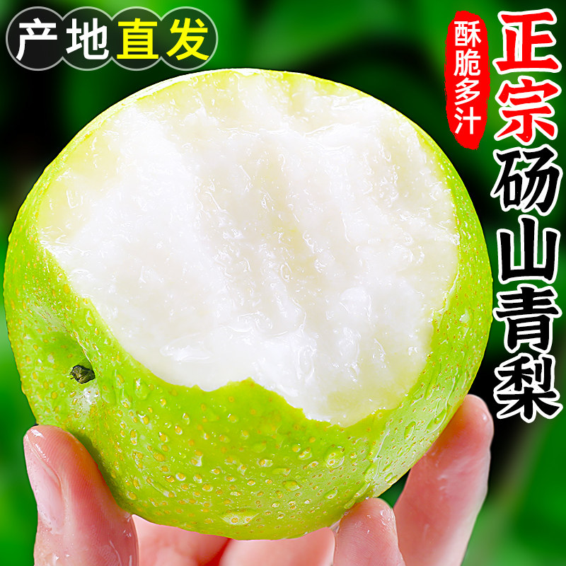 梨子砀山青梨10斤当季新鲜水果皇冠现摘翠冠水晶蜜梨雪梨整箱包邮