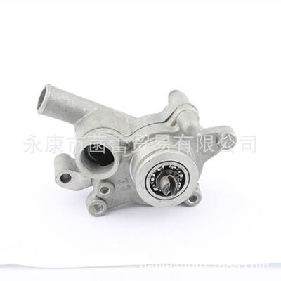 摩托车，踏板车，临海250/260，CN250发动机水泵