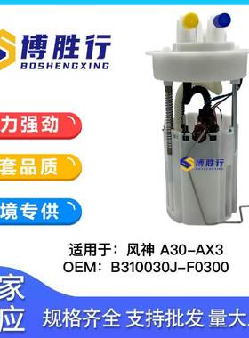 适用于东风风神A30/AX3燃油泵总成汽油泵泵芯B310030J-F0300
