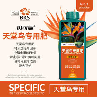 贝可施天堂鸟专用肥营养液肥料延花期防黄叶促开花催花绿叶