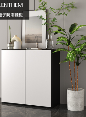LENTHEM领顿防潮柜  DS-410D 防潮鞋柜 运动鞋高跟鞋家居除湿箱
