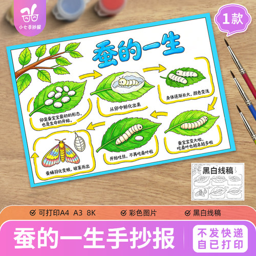 蚕的一生儿童绘画手抄报模板动物观察生长变化记录日记线稿图