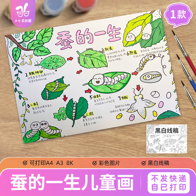 蚕的一生儿童绘画手抄报模板小学生动物生长变化观察记录日记