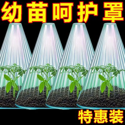 育苗保护罩锥形植物钟罩花卉园林