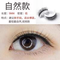 Magnetic false eyelashes, glue-free magnetic soft magnetic iron stone eyelashes, natural simulation style, Yue 2024 New Model Eye thumbnail 2