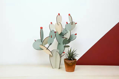 法国设计师品牌DIY进口仙人掌