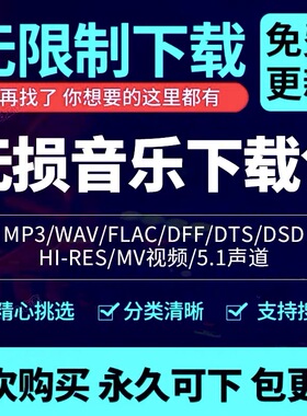 永久免费车载无损音乐下载高音质免费抖音MP3歌曲dj/flac/wav/mp4