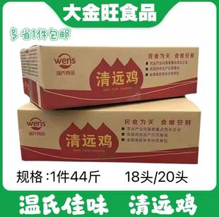 正宗广东温氏清远鸡黄油鸡整箱44斤新鲜冷冻整只走地清远麻鸡商用
