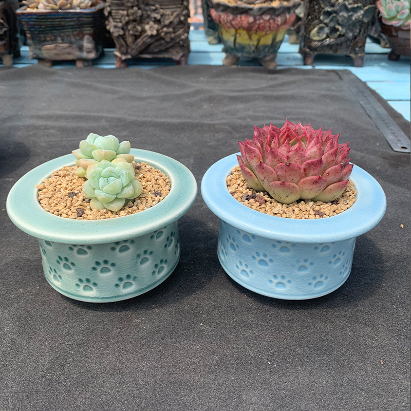 印章花盆冰裂流釉创意个性简约糖果色多肉花盆清新猫爪花盆器