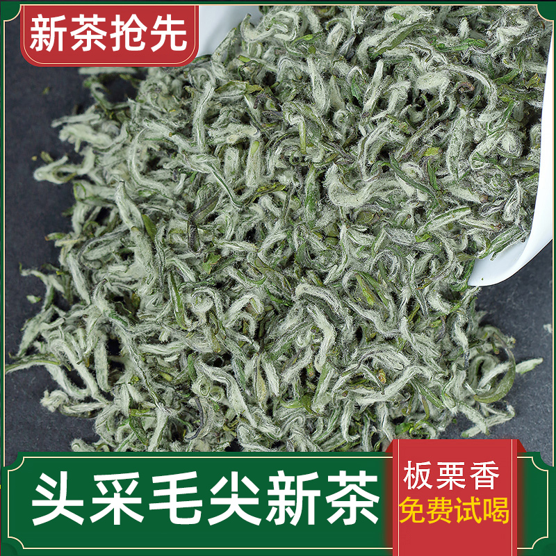 明前毛尖芽茶2024新茶浓香型绿茶特级一芽一叶云雾茶250克锌硒茶 茶 特色产区绿茶 原图主图