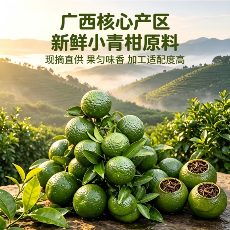 广西小青柑原料鲜果陈皮柑茶枝柑普茶原产地现摘现发柠檬茶专用