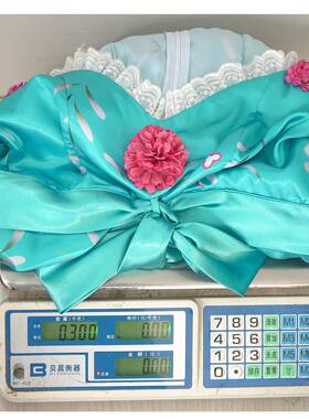 万圣节服装cosplay魔法奇缘吉塞尔同人蓝色红花缎面公主裙长裙