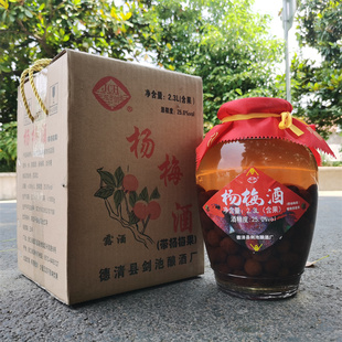 杨梅酒25度4.6斤原浆发酵微醺自酿瓶装女士甜酒果酒正宗浙江露酒