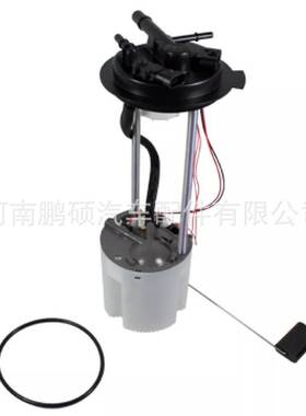 E3752M M10145 M10211 P76286M 适用于雪佛兰燃油泵总成 泵芯