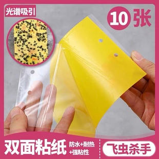 粘虫板灭小飞虫克星诱捕灭杀苍蝇神器果蝇抓飞蛾苍蝇贴纸家用厨房
