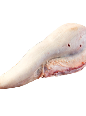 山东黄牛牛舌烧烤火锅食材