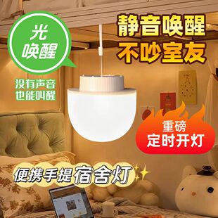 【光闹钟】悬挂小夜灯学习早起台灯遥控定时护眼充电学生宿舍吊灯