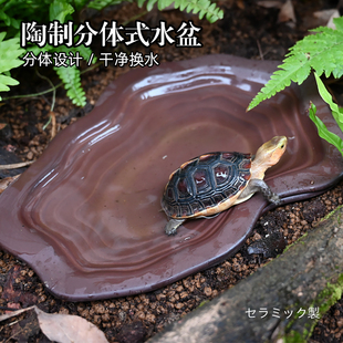 黄缘专用陶瓷饮水泡澡盘半水龟喝水盆爬宠分离式 洗澡盆饲养箱造景