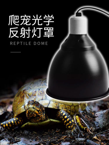 爬行动物宠物加热灯罩海龟沐浴灯Uva爬行动物太阳夜灯蜥蜴绝缘聚