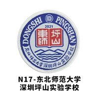 Северо -восточный нормальный университет Шэньчжэнь Пингсхан Экспериментальная школа