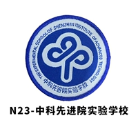 Китайская наука и технология продвинутая экспериментальная школа колледжа