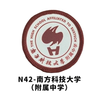 Южный университет науки и техники (аффилированная средняя школа)