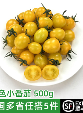 黄色小番茄500g 当季新鲜水果蔬菜圣女果沙拉食材 满5件包邮