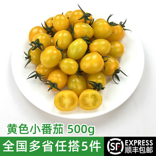 黄色小番茄500g新鲜采摘蔬菜