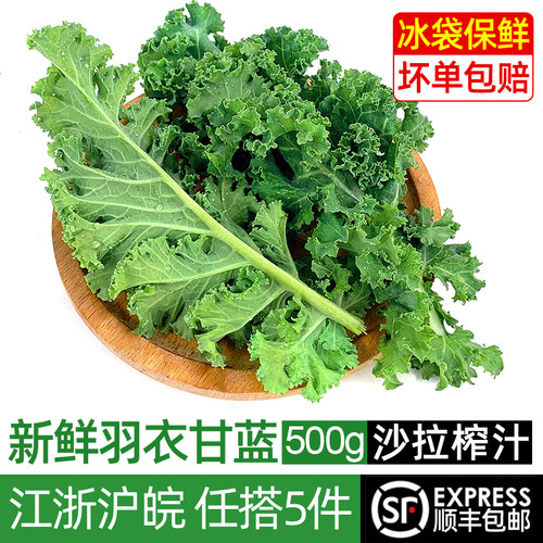 新鲜羽衣甘蓝西餐榨汁轻食蔬菜