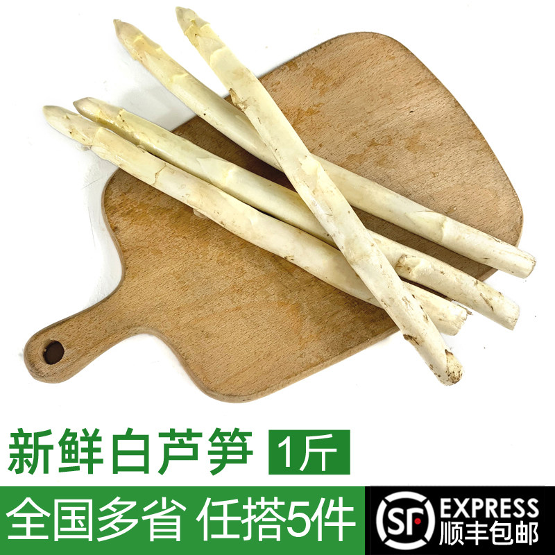 新鲜白芦笋1斤 当季蔬菜火锅生鲜炒菜凉拌食材中西餐配菜 5件包邮