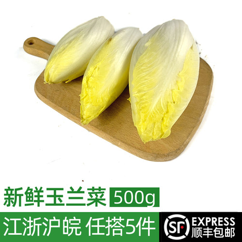 玉兰菜500g金玉兰菊苣生菜沙拉