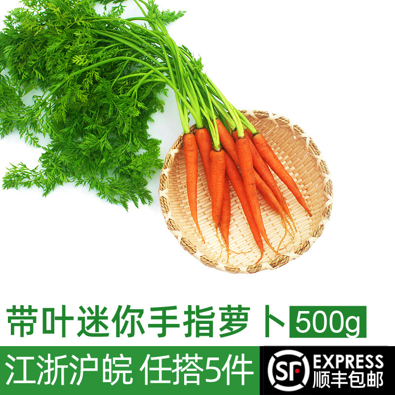 新鲜手指胡萝卜500g 迷你水果小胡萝卜 西餐蔬菜沙拉食材,水产肉类/新鲜蔬果/熟食,萝卜/胡萝卜,淘宝优惠券,粉丝福利购,淘宝优惠卷