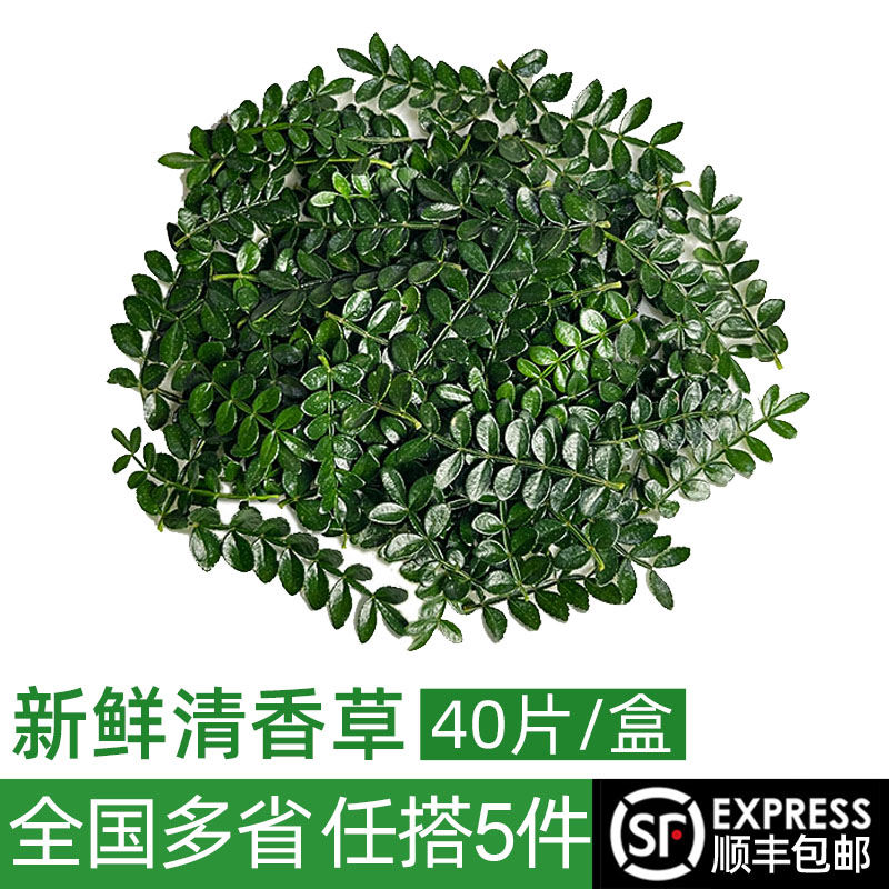 新鲜清香草1盒酒店5件烘焙日料