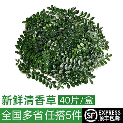 新鲜清香草1盒酒店5件烘焙日料