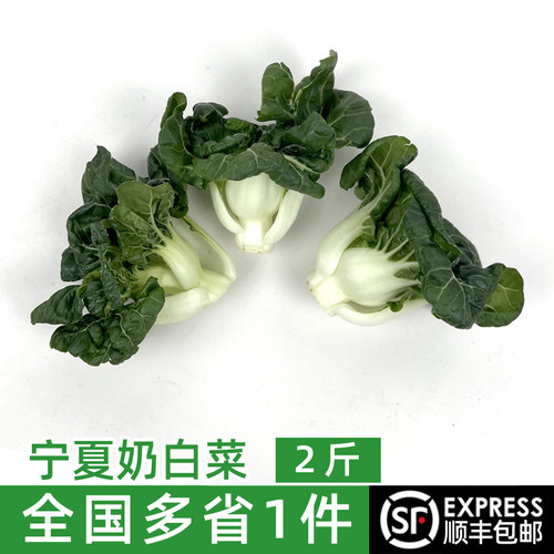 宁夏奶白菜2斤顺丰包邮